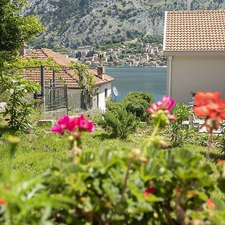 Muo Sea Front Apartments Kotor Bagian luar foto