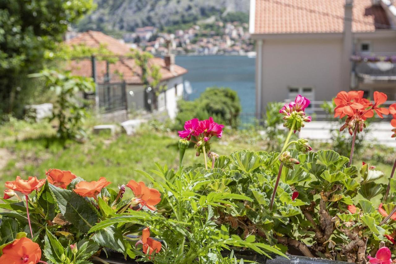 Muo Sea Front Apartments Kotor Bagian luar foto